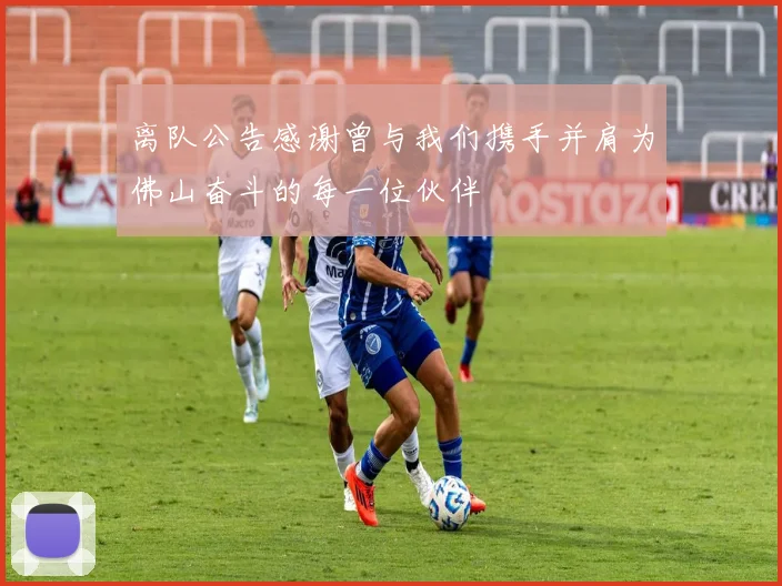 离队公告感谢曾与我们携手并肩为佛山奋斗的每一位伙伴