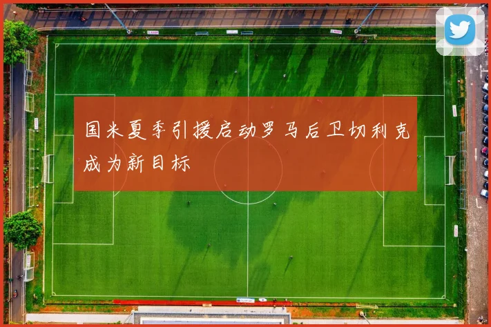 国米夏季引援启动罗马后卫切利克成为新目标